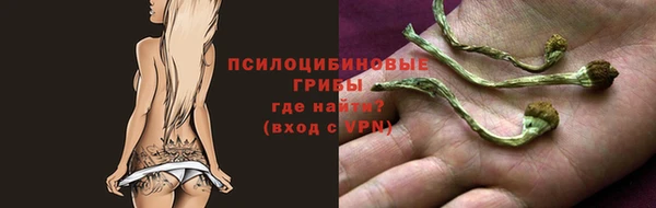 стаф Алексеевка
