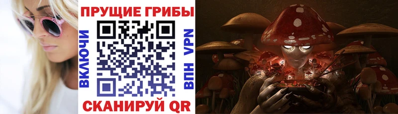 купить наркотик  сайты даркнета клад  Галлюциногенные грибы Psilocybine cubensis  Первоуральск 